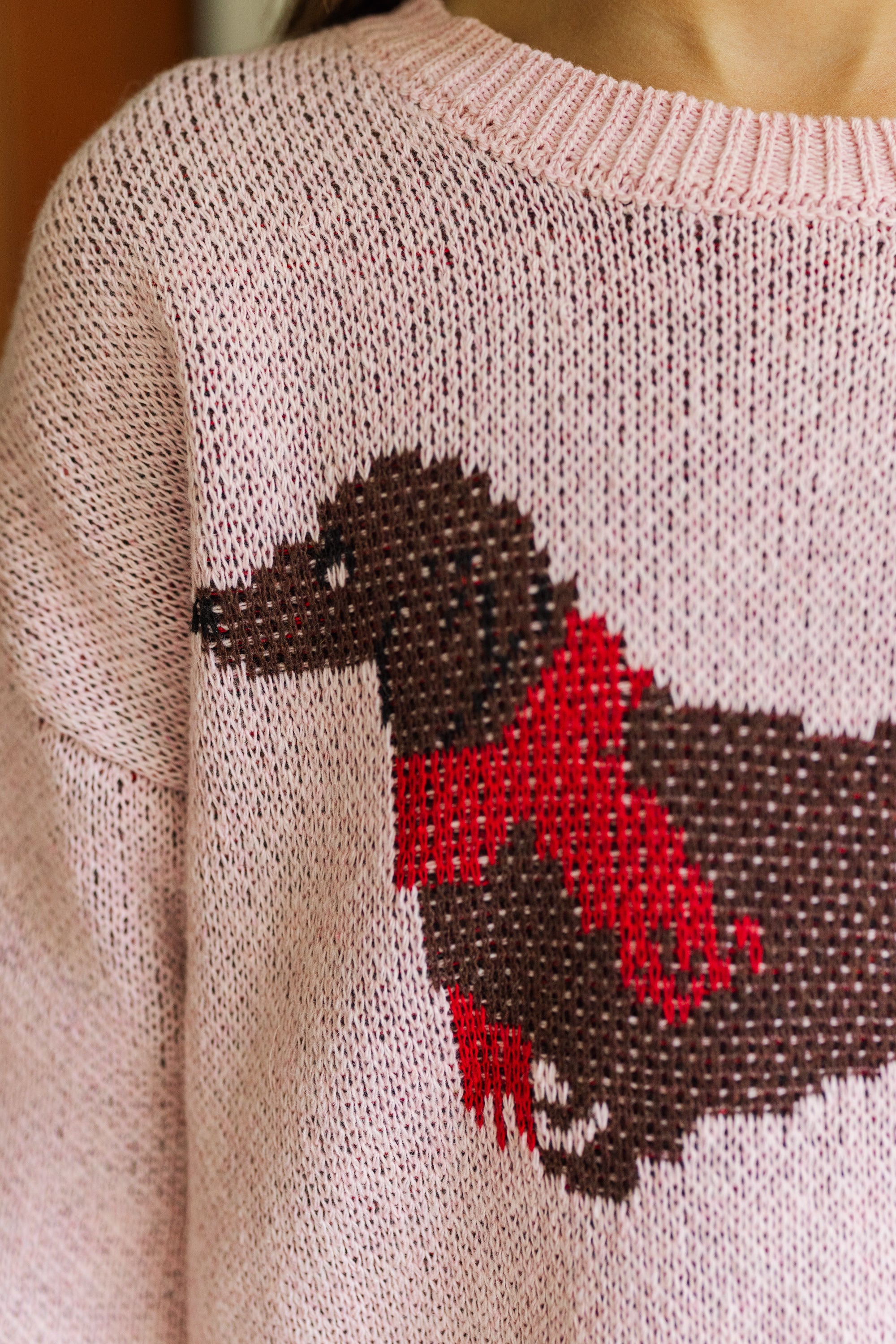 Girls' Audrey Pink Dachshund Sweater - Irresistibly Cute!